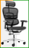 Эргономичное кресло Falto Ergohuman 2 ST Elite